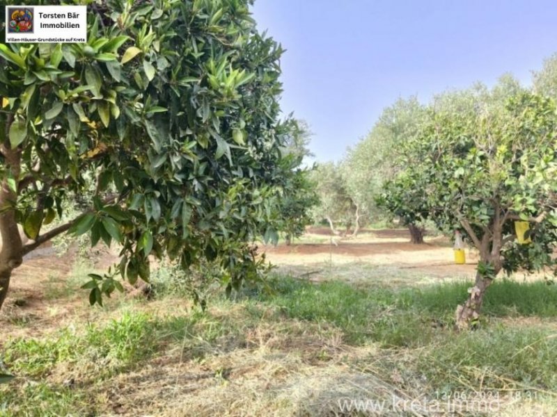 Timpaki Klima Kreta Timbaki außergewöhnliches Baugrundstück Meer- und Bergblick Grundstück kaufen